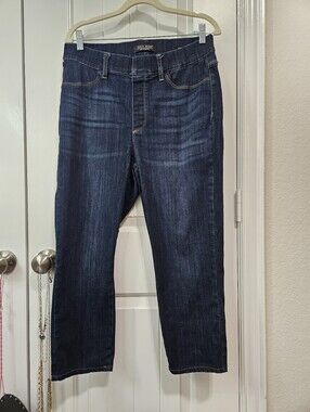 Judy Blue Skinny Fit Pull On Jeans